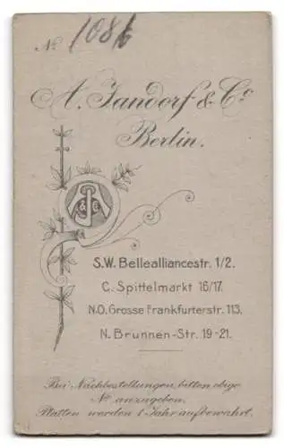 Fotografie A. Jandorf & Co., Berlin, Bellealliancestr. 1 /2, Dame in elegantem Gewand