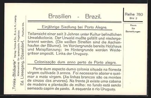 AK Porto Allegre, Einjährige Siedlung im gerodeten Urwald