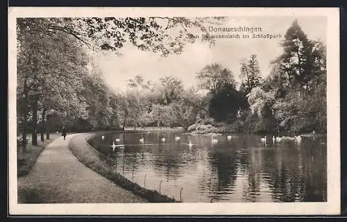 AK Donaueschingen, Am Schwanenteich im Schlosspark