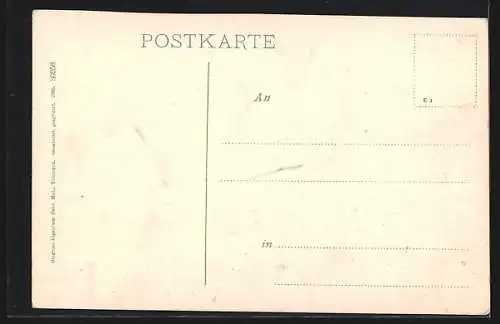 AK Donaueschingen, Schloss und Schwanenteich