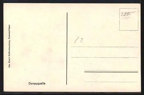 AK Donaueschingen, Partie an der Donauquelle