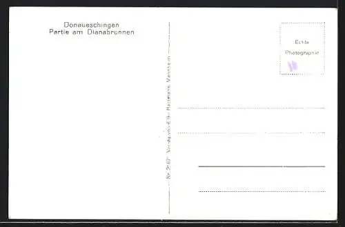 AK Donaueschingen, Partie am Dianabrunnen