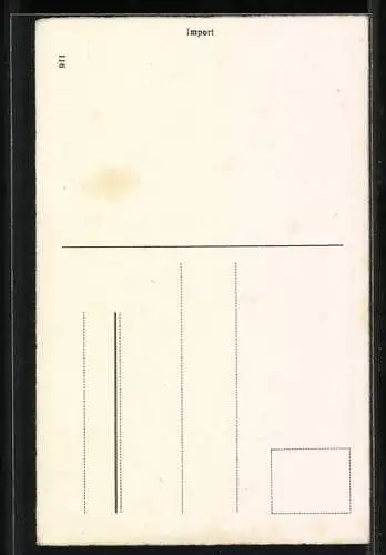 AK Meckernde Frau im Käfig wird von den Kindern im Wasser versenkt, frauenfeindlicher Humor