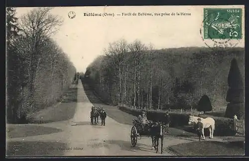 AK Belleme /Orne, Foret de Belleme, vue prise de la Herse