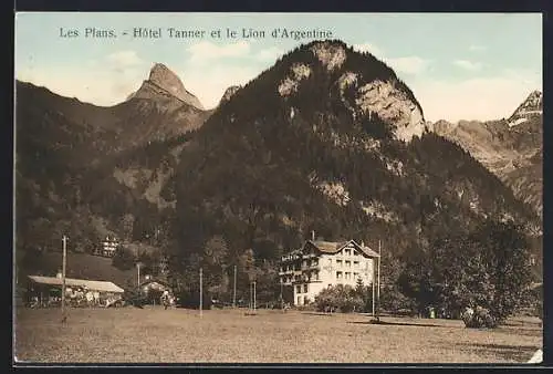 AK Les Plans, Hôtel Tanner et le Lion d`Argentine