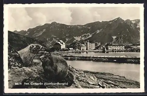 AK San Gottardo, Uferpartie am Gotthardhospiz
