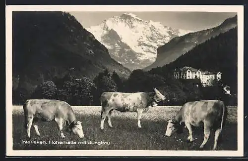 AK Interlaken, Höhematte mit Jungfrau