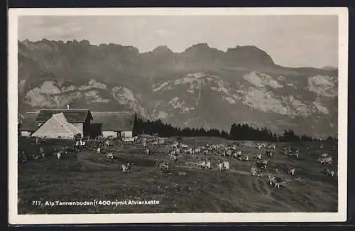 AK Alp Tannenboden, Gehöft mit Alvierkette