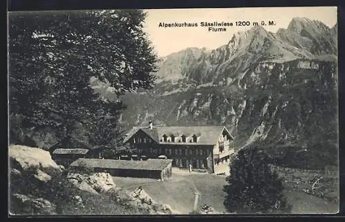 AK Flums, Alpenkurhaus Sässliwiese mit Bergpanorama