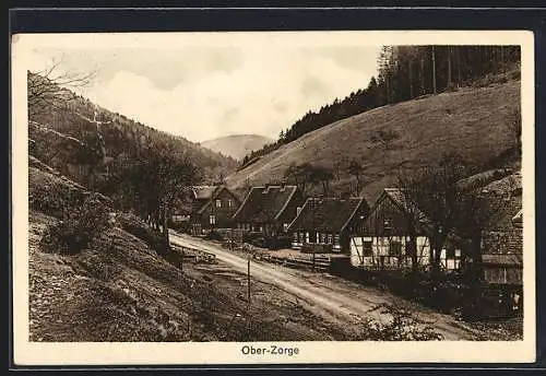 AK Ober-Zorge, Teilansicht der Ortschaft mit Wald