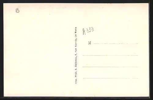 AK Beaumont-sur-Sarthe, Vue prise du Pont-Romain