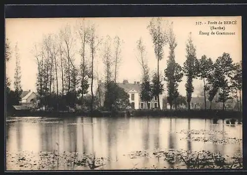 AK Bercé /Sarthe, La Forêt, Étang de Grammont