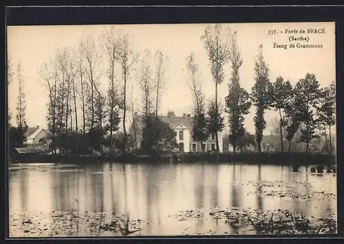 AK Bercé /Sarthe, La Forêt, Étang de Grammont