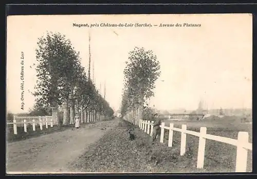 AK Nogent, Avenue des Platanes