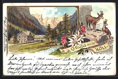 Lithographie Schladming, Gruss aus der Höll, Gemsen