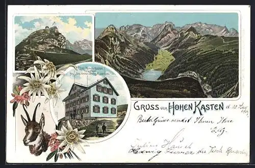 Lithographie Hoher Kasten, Hotel Hoher Kasten, Panorama, Gams mit Alpenblumen