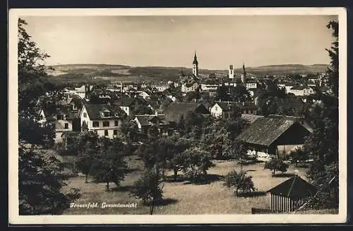 AK Frauenfeld, Blick über die Dächer