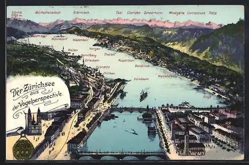 Lithographie Zürich, Der Zürichsee aus der Vogelschau