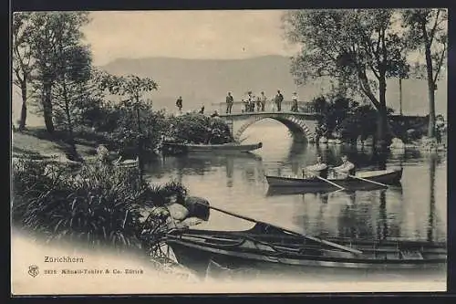 AK Zürich, Zürichhorn mit Ruderbooten