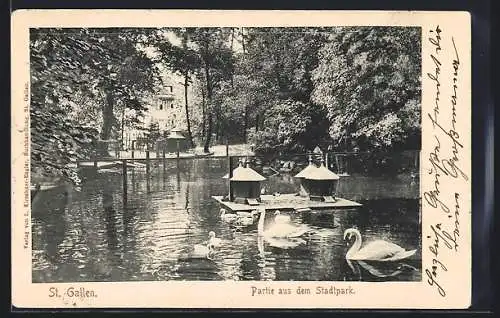 AK St. Gallen, Partie aus dem Stadtpark