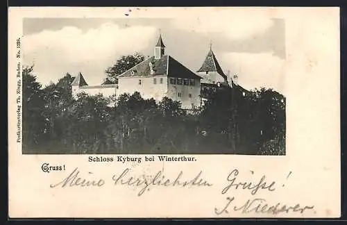 AK Kyburg, Blick auf das Schloss