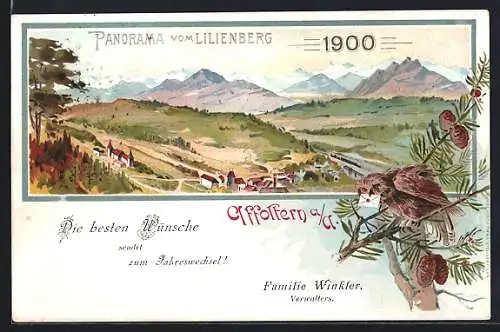 Lithographie Affoltern a. A., Panorama vom Lilienberg, Neujahrsgrüsse 1900 von einer Eule