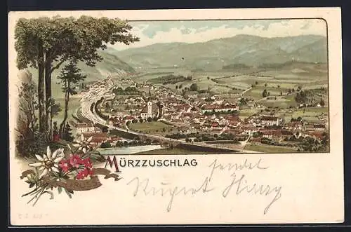 Lithographie Mürzzuschlag, Blick über den Ort, Blumen