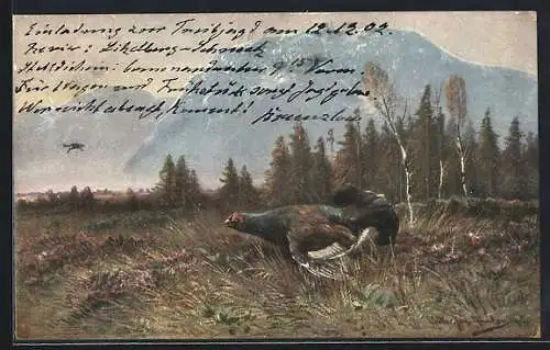 Künstler-AK M.Müller jun.: Landschaftspanorama mit Wildvogel, Um 1900