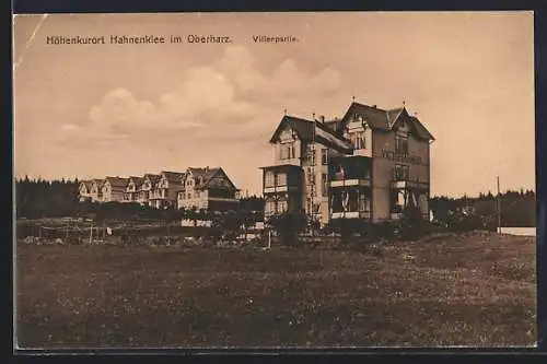 AK Hahnenklee i. Oberharz, Villen-Partie vom Höhenkurort