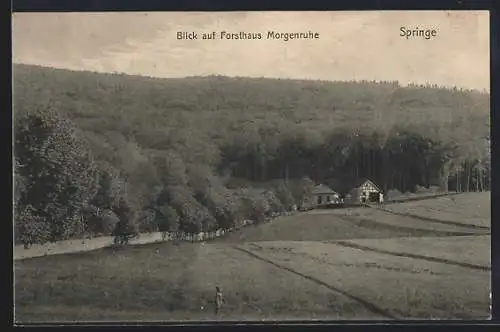 AK Springe, Blick auf Forsthaus Morgenruhe