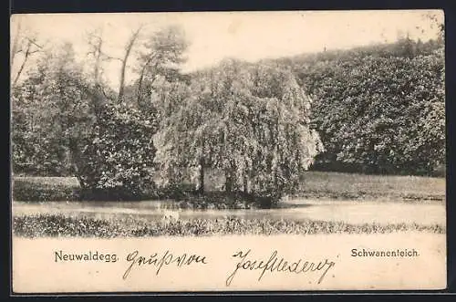 AK Neuwaldegg, Hund am Schwanenteich