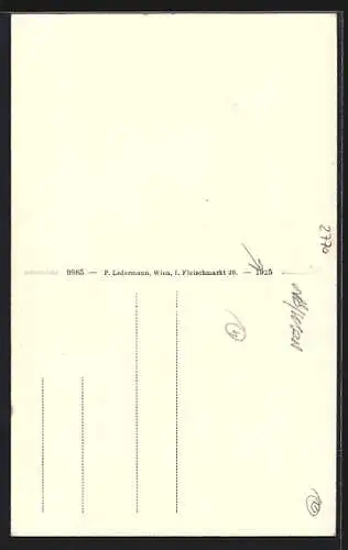 AK Gutenstein, Totalansicht aus der Vogelschau