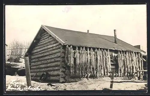 AK Knik, AK, Drying of Lynx pelts