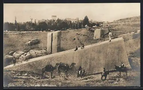 AK Baalbek, Steinbruch mit Arbeitern, Esel, Kamele