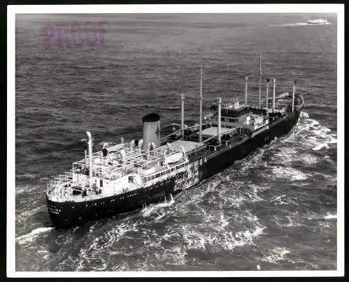 Fotografie Frachtschiff / Frachter Salina, Heimathafen Palermo, Grossformat 25 x 20cm