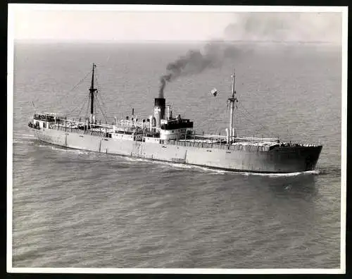 Fotografie Frachtschiff / Frachter Kattegatt hat Holz geladen