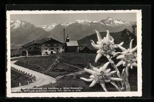 AK Jaufenpass, Hospiz mit Hochfeiler u. Wilde Kreuzspitze, mit Edelweiss