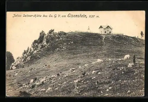 AK Julius Seitner-Hütte am Eisenstein