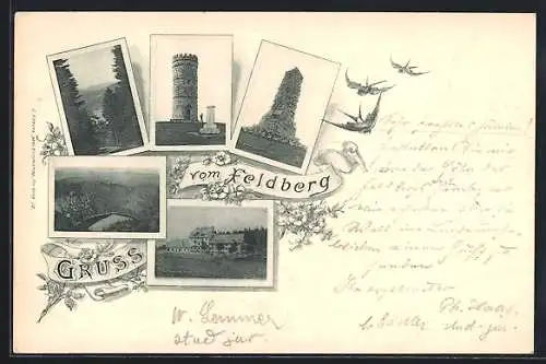 AK Feldberg / Schwarzwald, Turm, Denkmal, Aussicht ins Tal, Gebäudeansicht, Schwalben