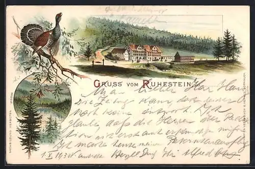 Lithographie Baiersbronn, Ruhestein, Ortsansicht, Auerhahn auf einem Ast, Partie an einem Waldsee