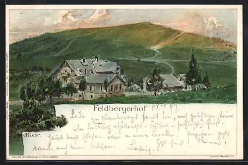 Künstler-AK C.Biese: Feldberg, Partie am Ortsrand mit Feldbergerhof