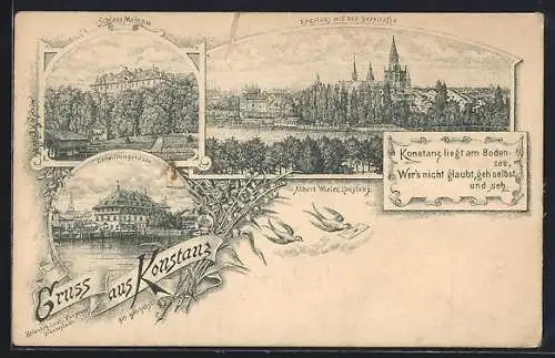 Lithographie Konstanz, Conciliumgebäude, Schloss Mainau, Ortsansicht mit Seestrasse, Briefschwalben