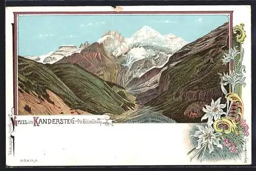 Lithographie Kandersteg, Blümlisalp mit Bergpanorama, Edelweiss