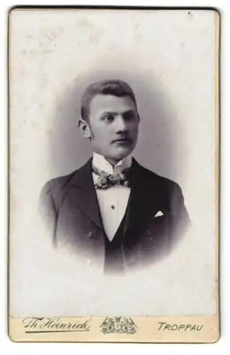 Fotografie Th. Heinrich, Troppau, Schillerpark 1, CDV eines jungen Mannes in feinem Anzug