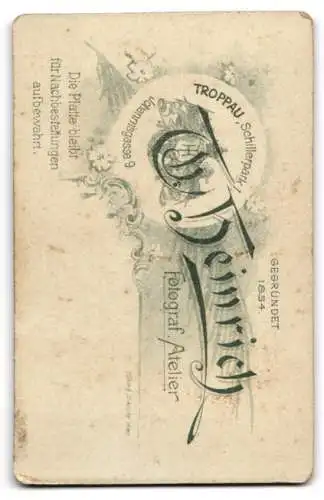 Fotografie Th. Heinrich, Troppau, Schillerpark 1, CDV eines jungen Mannes in feinem Anzug