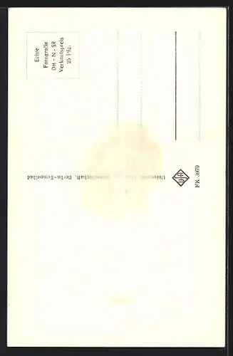 AK Musiker Peter Kraus im Anzug Auto fahrend