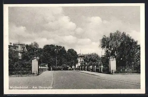 AK Wolfenbüttel, Am Herzogtor, Strassenpartie, Brücke