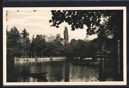 AK Bad Fischau, Erholungsheim, Bootspartie mit Uferblick