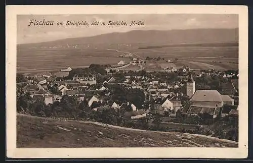 AK Fischau am Steinfelde, Ortsansicht mit Umland