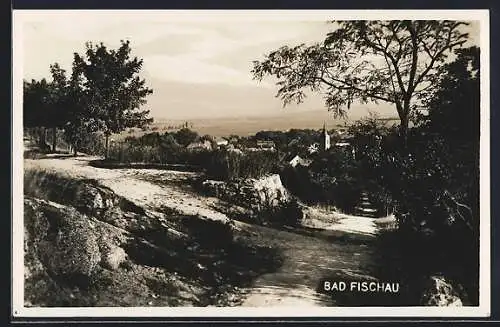 AK Bad Fischau, Wanderweg mit Blick zum Ort